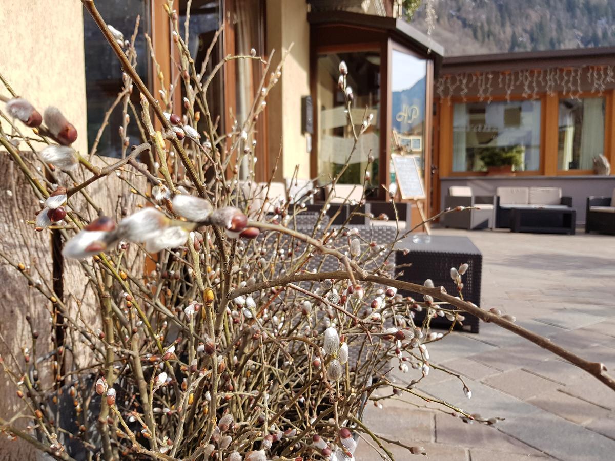 Hotel Pedretti Branzi Exterior photo